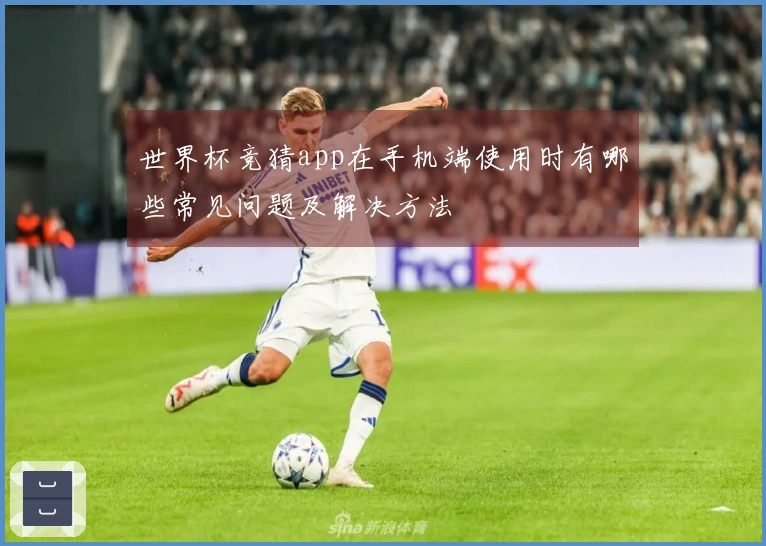 世界杯竞猜app在手机端使用时有哪些常见问题及解决方法