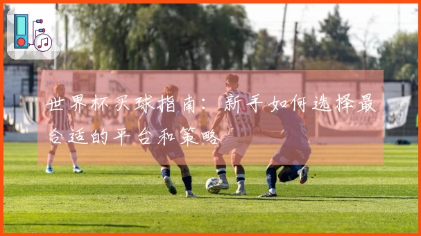 世界杯买球指南：新手如何选择最合适的平台和策略