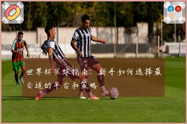 世界杯买球指南：新手如何选择最合适的平台和策略