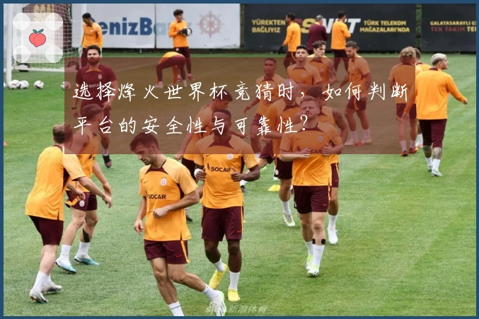 选择烽火世界杯竞猜时，如何判断平台的安全性与可靠性？