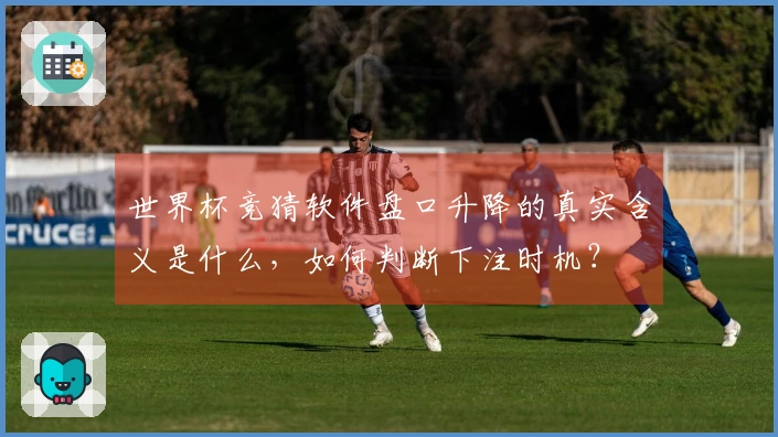世界杯竞猜软件盘口升降的真实含义是什么，如何判断下注时机？