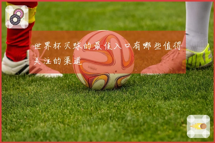 世界杯买球的最佳入口有哪些值得关注的渠道