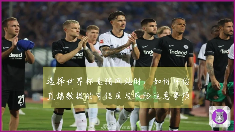 选择世界杯竞猜网站时，如何评估直播数据的可信度与风险注意事项